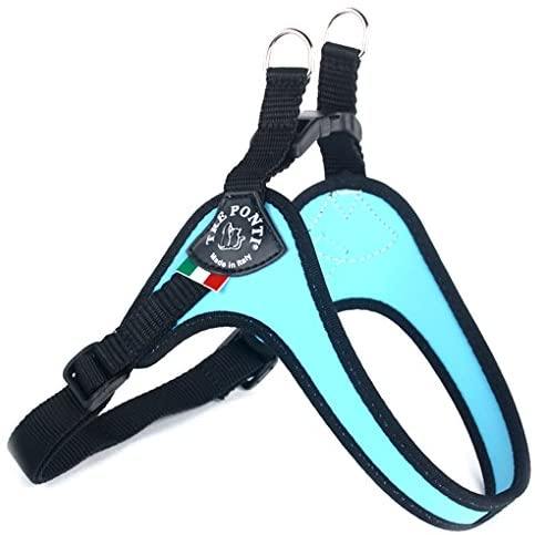 Tre Ponti Pettorina Sottopancia Regolabile Bordo Cannetè Azzurra Tg 2.5 Tre Ponti Pettorina Sottopancia Regolabile Bordo Cannetè Azzurra Tg 2.5